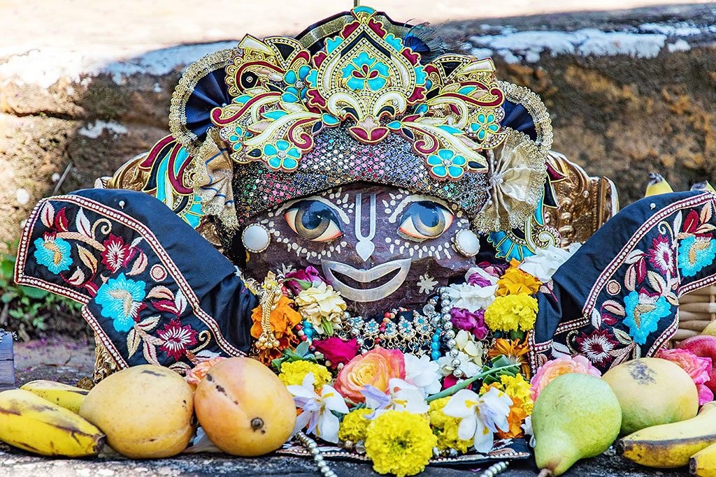 ew Govardhana’s resplendent Giriraja receiving worship at the Govardhana Puja festival 2017. This festival was celebrated at the replica Govardhana Hill created by Maha Mantra dasa and his crew. The hill was decorated and covered with sweets, beautifully adorned cows were present for feeding and go-puja and dance items were offered. Giriraja was transported to the hill in a bullock cart decorated with flowers expertedly led by Krishna Kirtana dasa. The 2018 Govardhana Puja festival will also be jubilantly commemorated with great love and devotion down by the lake.
