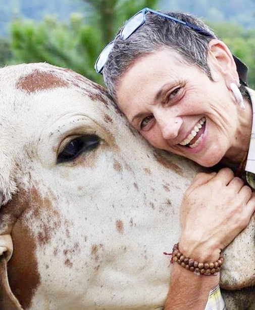 Urvasi devi dasi with one of New Govardhana’s much loved cows.